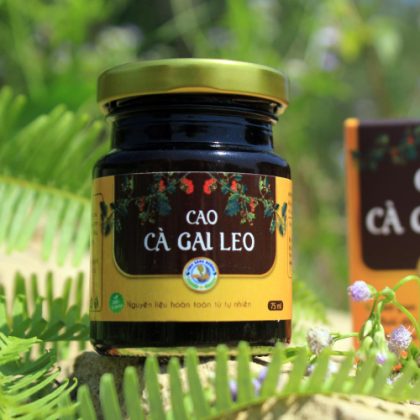 Cao Cà Gai Leo 100g