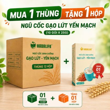 Thùng (12 hộp) Ngũ Cốc Dinh Dưỡng Gạo Lứt - Yến Mạch 250g