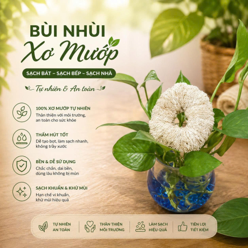 BÙI NHÙI XƠ MƯỚP 