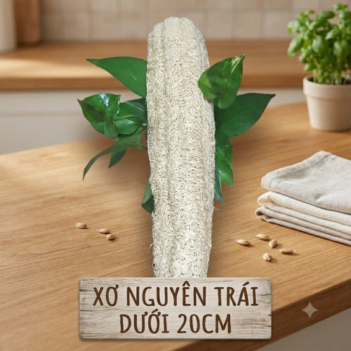 XƠ NGUYÊN TRÁI DƯỚI 20CM 