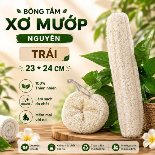 BÔNG TẮM XƠ MƯỚP NGUYÊN  TRÁI