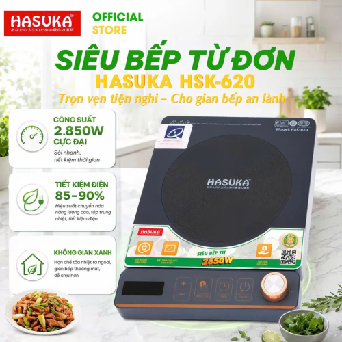 Bếp điện từ đơn cao cấp Hasuka HSK - 620