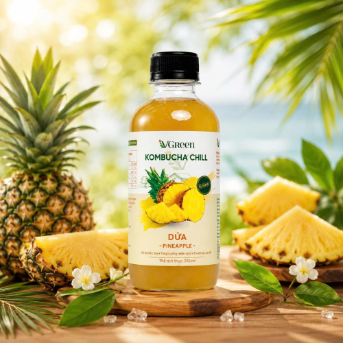 Vkombucha Chill  250ml dứa