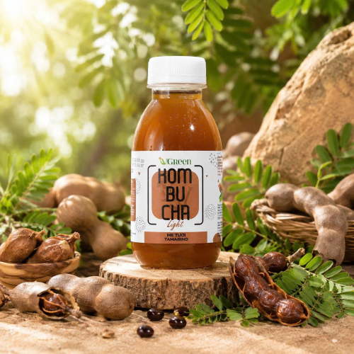 VKombucha Light 250ml vị Me Tươi