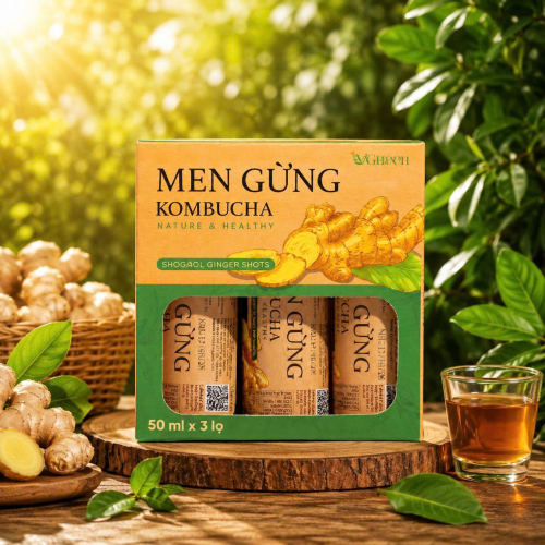 Men gừng Kombucha (Pack 3 chai x  50ml) 
