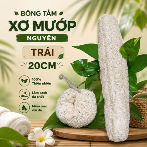 BÔNG TẮM XƠ MƯỚP NGUYÊN TRÁI 20 cm