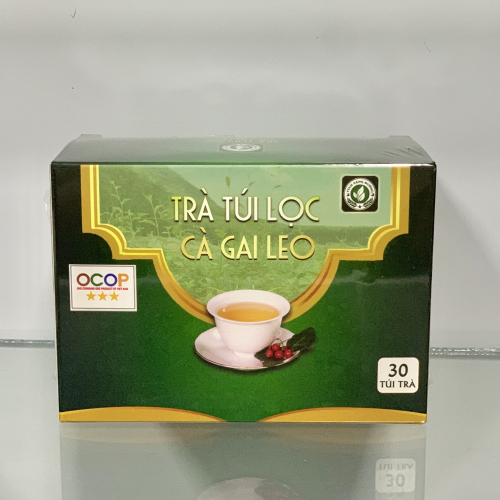 Trà Túi Lọc Cà Gai Leo 30 gói