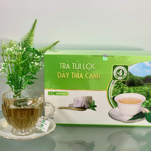 Trà Túi Lọc Dây Thìa Canh 250gr