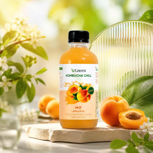 Vkombucha Chill  250ml  Mơ