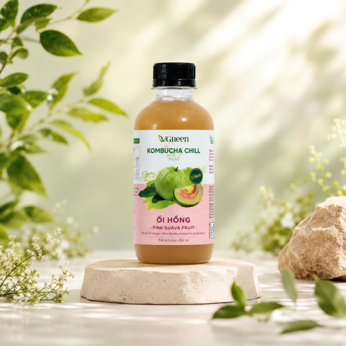 Vkombucha Chill  250ml  Ổi Hồng 