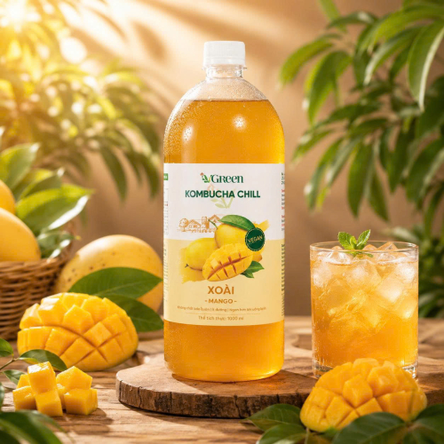 Vkombucha Chill  1000ml  Xoài 