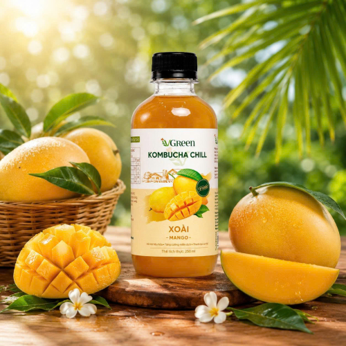 Vkombucha Chill  250ml  Xoài