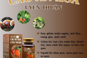 GAN ỔN ĐỊNH - GIA ĐÌNH KHỎE MẠNH