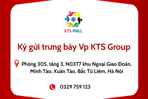 Ký gửi trưng bày KTS Mall - KTS Group (Phòng 305, Tầng 3, tòa N03T7 khu Ngoại Giao Đoàn, Minh Tảo, Xuân Tảo, Bắc Từ Liêm, Hà Nội)