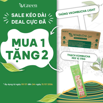 [ Mua 1 Thùng 24 chai - Tặng 2 ] VKombucha Light 250ml  ( Chanh Mật Ong , Chanh Leo , Me )