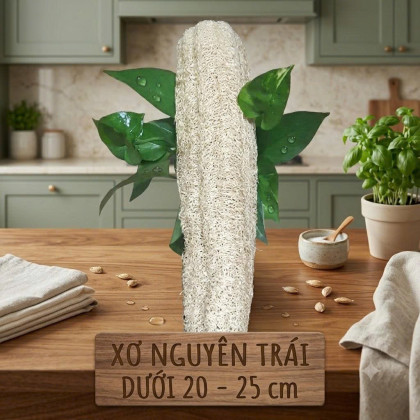 XƠ NGUYÊN TRÁI 20 - 25CM