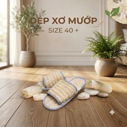 DÉP XƠ MƯỚP  SIZE 40 +