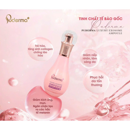 Tinh chất tế bảo gốc PUDERMA luxury exosome ampoule	Hộp 1 lọ	50ml