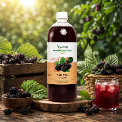 Vkombucha Chill 1000ml  Dâu tằm 