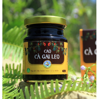 Cao Cà Gai Leo 100g