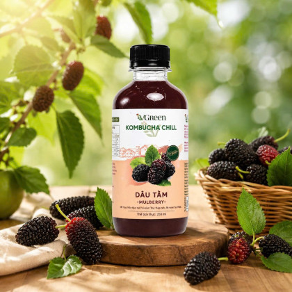 Vkombucha Chill 250ml Dâu Tằm