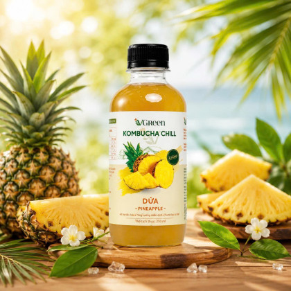 Vkombucha Chill  250ml dứa