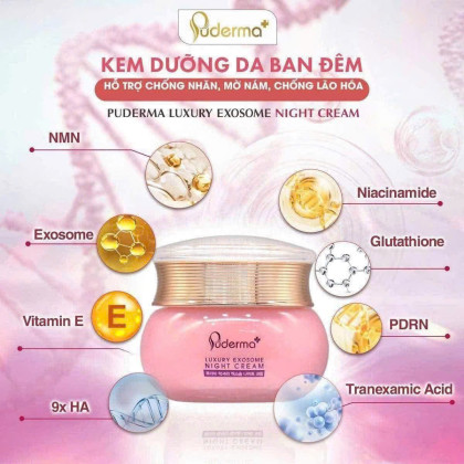Kem dưỡng da ban đêm PUDERMA luxury exosome night cream	Hộp 1 hũ	50g