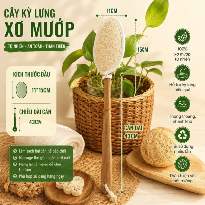 CÂY KỲ LƯNG XƠ MƯỚP  CÁN 43CM 1115CM