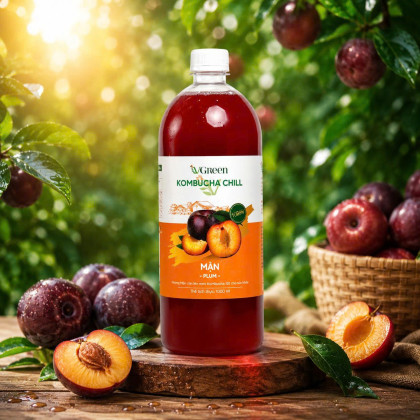 Vkombucha Chill  1000ml Mận 