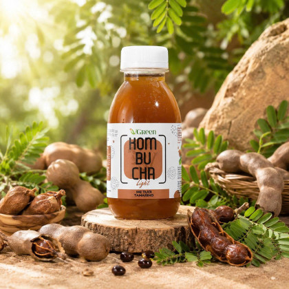 VKombucha Light 250ml vị Me Tươi