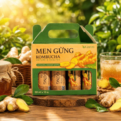 Men gừng Kombucha (Pack 12 chai x  50ml) 