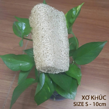 XƠ KHÚC SIZE S 