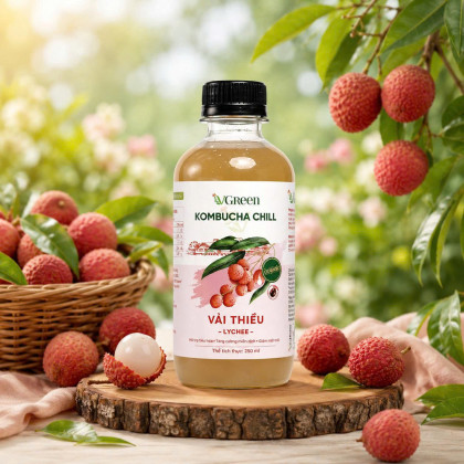 Vkombucha Chill 250ml Vải 