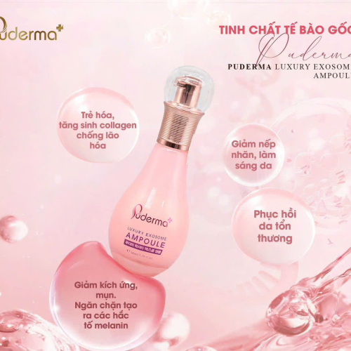 Tinh chất tế bảo gốc PUDERMA luxury exosome ampoule	Hộp 1 lọ	50ml