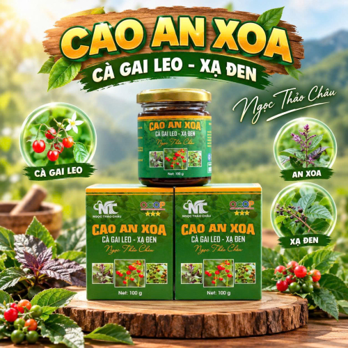 Cao An Xoa Cà Gai Leo Xạ Đen  Ngọc Thảo Châu 
