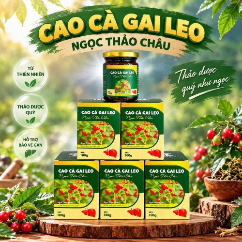 Cao Cà gai leo Ngọc Thảo Châu 