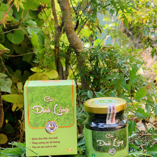 Cao Đinh Lăng 100g