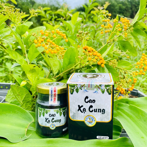 Cao Xạ Cung 100 gam