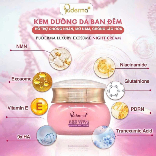 Kem dưỡng da ban đêm PUDERMA luxury exosome night cream	Hộp 1 hũ	50g