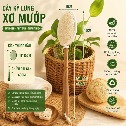CÂY KỲ LƯNG XƠ MƯỚP CÁN 38CM -  11*15CM 