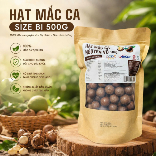 HẠT MẮC CA SIZE BI 500G 
