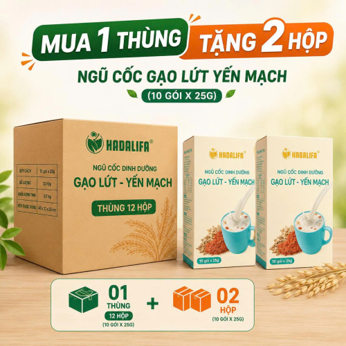 Thùng (12 hộp) Ngũ Cốc Dinh Dưỡng Gạo Lứt - Yến Mạch 250g