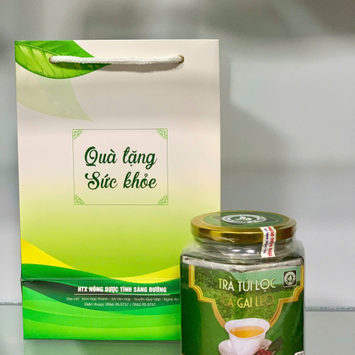 Trà Túi Lọc Cà Gai Leo Lọ Thủy Tinh (50 gói)